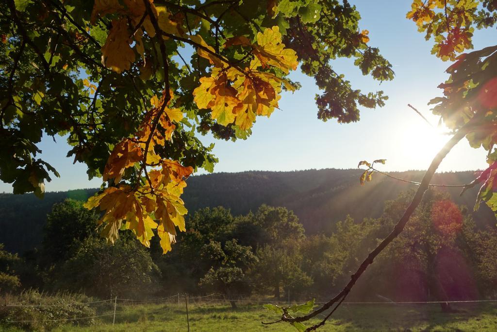 Naturhotel Ruegers Forstgut メスペルブルン エクステリア 写真